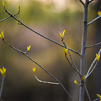 Портрет фотографа (аватар) Екатерина Карпешина (Ekaterina Karpeschina)