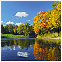 Фотография Ed Портрет фотографа (аватар) Ed