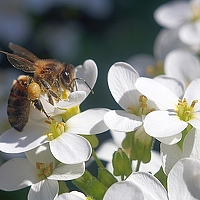 Портрет фотографа (аватар) Андрей Крупский (Andrey V. Krupskiy)