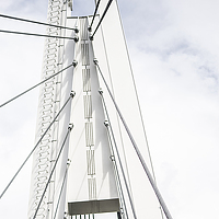 Портрет фотографа (аватар) Ксения Петрова (Kseniya Petrova)