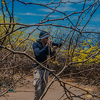 Портрет фотографа (аватар) Ronald Blandón