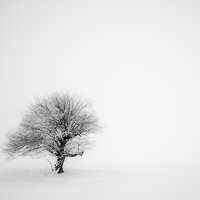 Портрет фотографа (аватар) Suren Sarumyan