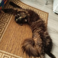 Портрет фотографа (аватар)  Денис