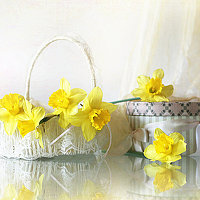 Портрет фотографа (аватар) Виолетта Печенкина (Violetta Pechenkina)