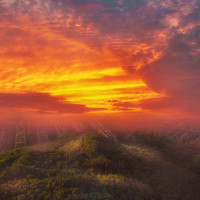 Портрет фотографа (аватар) yu wei