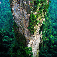 Портрет фотографа (аватар) jason rivera (Jason Eduardo Rivera Villarreal)