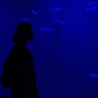 Портрет фотографа (аватар) Irina Konstantinova