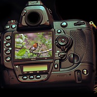 Портрет фотографа (аватар) Omar Sefouane