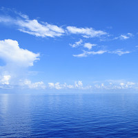 Портрет фотографа (аватар) bb aaa (cc)