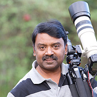 Портрет фотографа (аватар) Bala Murali