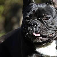 Портрет фотографа (аватар) Stella Talberg