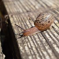 Портрет фотографа (аватар) Александр Кириков (ALEKSANDR KIRIKOV)