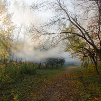 Портрет фотографа (аватар) Фролкова Елена