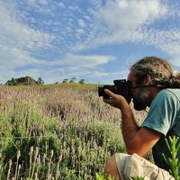 Фотография Mauricio Brasilli Портрет фотографа (аватар) Mauricio Brasilli
