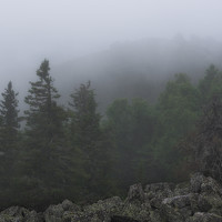 Фотография Макс Гордеев Портрет фотографа (аватар) Макс Гордеев