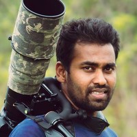 Портрет фотографа (аватар) Roshana Prasad