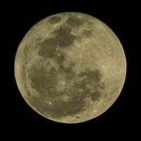 Портрет фотографа (аватар) Jaco Kloppers