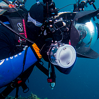 Фотография Alex Kitain Портрет фотографа (аватар) Alex Kitain