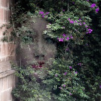 Портрет фотографа (аватар) Manolo Espinosa