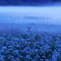 Портрет фотографа (аватар) Евтух Никита