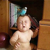 Портрет фотографа (аватар) Rasik Chavda (Rasik G.Chavda)