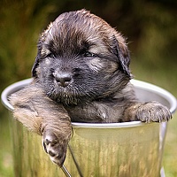 Портрет фотографа (аватар) Kamil