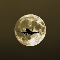 Портрет фотографа (аватар) Nguyễn Anh Đức