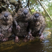 Фотография Ваганова-Оригана Ольга Портрет фотографа (аватар) Ваганова-Оригана Ольга