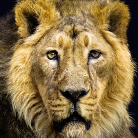 Фотография Jaroslav Sameš Портрет фотографа (аватар) Jaroslav Sameš