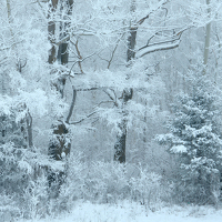 Портрет фотографа (аватар) Николай М