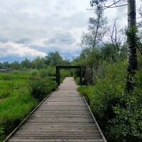 Портрет фотографа (аватар) Paweł Płocienniczak