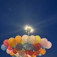 Портрет фотографа (аватар) KANHAIYA YADAV (Kanhaiya Lal yadav)