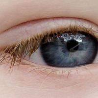 Портрет фотографа (аватар) Цапенко Пётр (Capenko Petr)