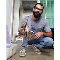 Портрет фотографа (аватар) Andres Perez