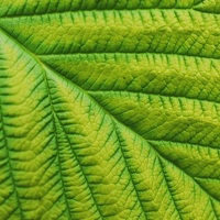 Портрет фотографа (аватар) Сокол Николай (Sokol Nikolay)