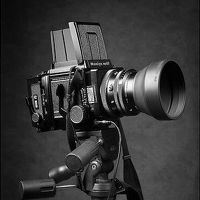 Портрет фотографа (аватар) Дмитрий Толоконов (Dmytro Tolokonov)