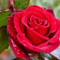 Портрет фотографа (аватар) GHJAB