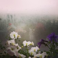 Портрет фотографа (аватар) Елена Кобелева (Еlena Kobeleva)