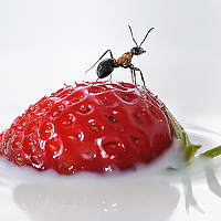 Фотография Helena Flykt Портрет фотографа (аватар) Helena Flykt