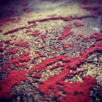 Портрет фотографа (аватар) marmarart