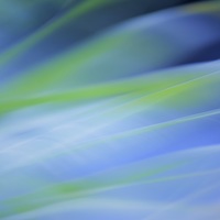 Портрет фотографа (аватар) sprp77