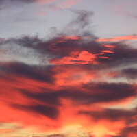 Портрет фотографа (аватар) Aleksei Utkin