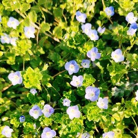 Портрет фотографа (аватар) Рита (Margarita)