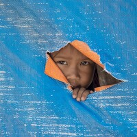 Портрет фотографа (аватар) Scott Rotzoll