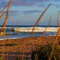 Портрет фотографа (аватар) Татьяна (Tatiana Litova)