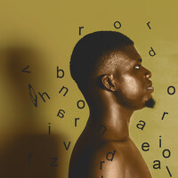 Портрет фотографа (аватар) Dharvinz studios (Dharvinz)