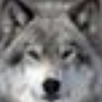 Портрет фотографа (аватар) Andrew Romanov