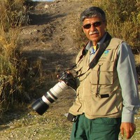 Портрет фотографа (аватар) Luis Pollack (Luis Enrique Pollack Velasquez)