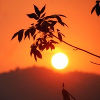 Портрет фотографа (аватар) Aung Kyaw Soe Aung Kyaw Soe (ေအာင္ေက်ာ္စုိး)