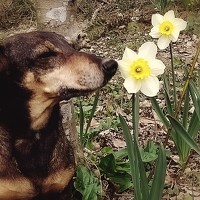 Портрет фотографа (аватар) Магасумова Катерина